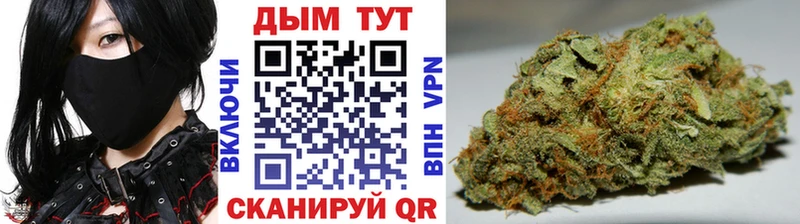 где продают наркотики  Николаевск-на-Амуре  Канабис VHQ 